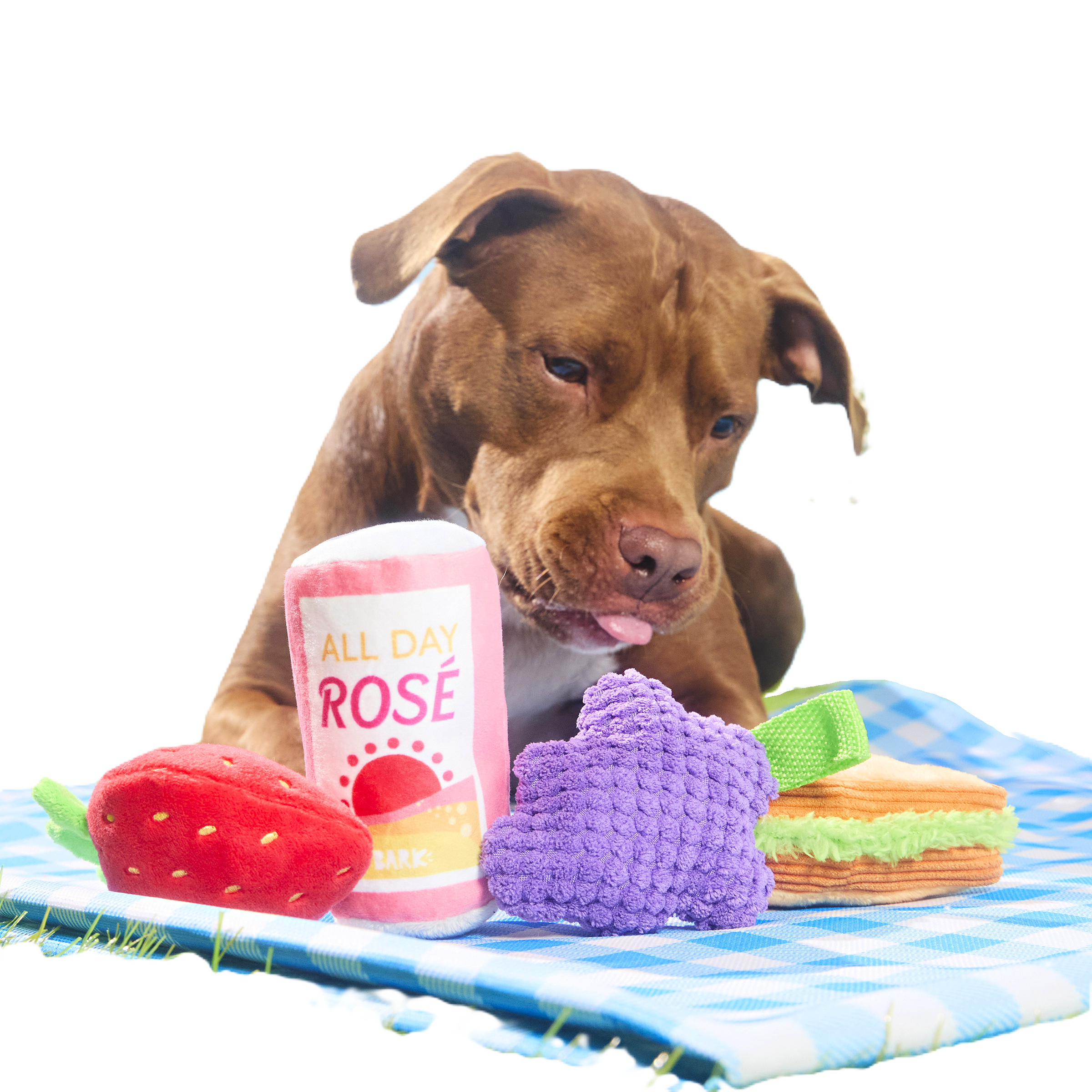 Licknic Dog Toy Pack - 4 Squeaky Plush Picnic Toys for Play & Fetch