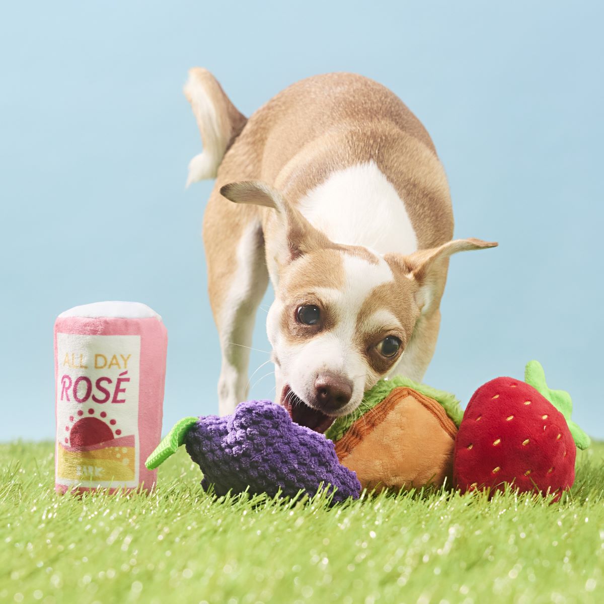 Licknic Dog Toy Pack - 4 Squeaky Plush Picnic Toys for Play & Fetch