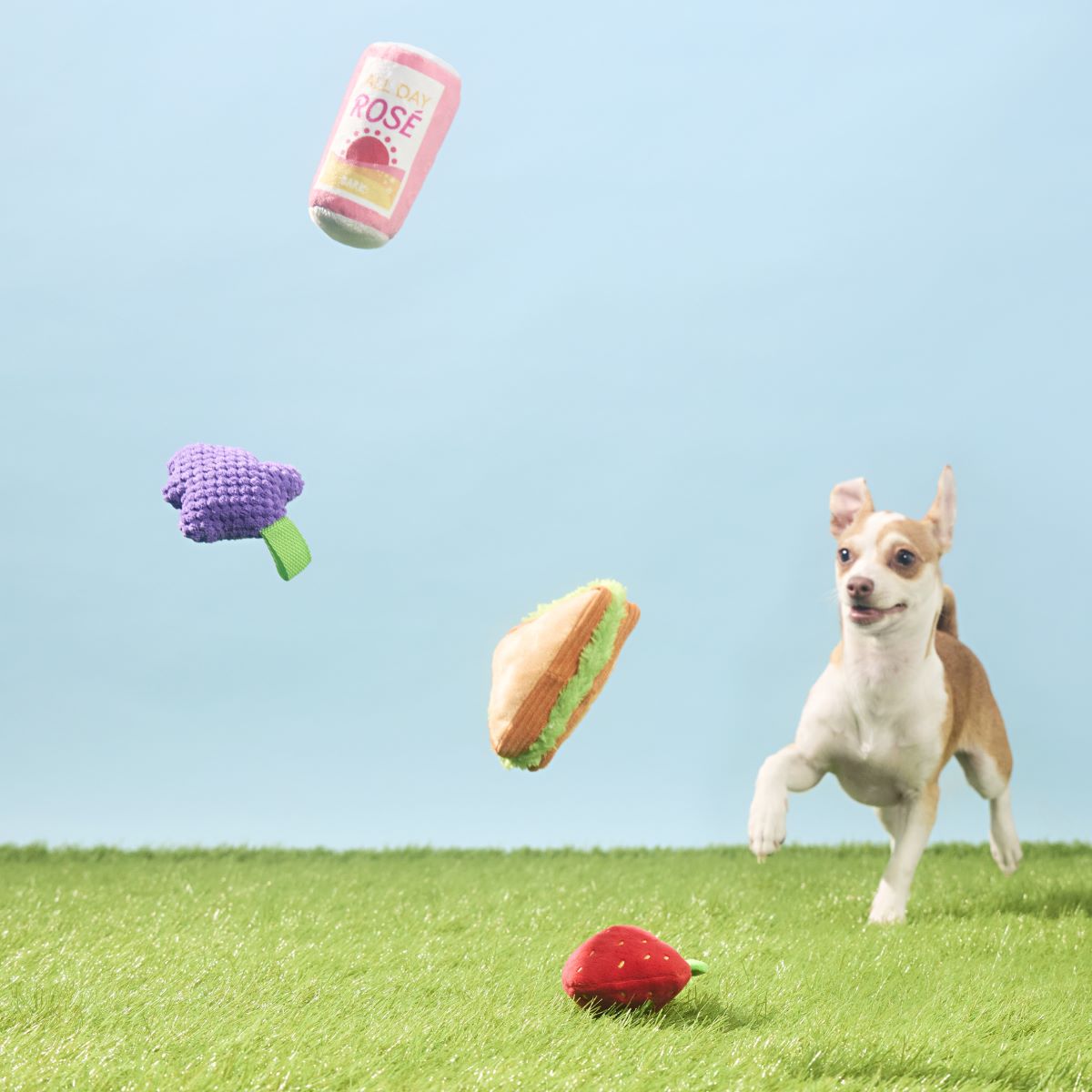 Licknic Dog Toy Pack - 4 Squeaky Plush Picnic Toys for Play & Fetch