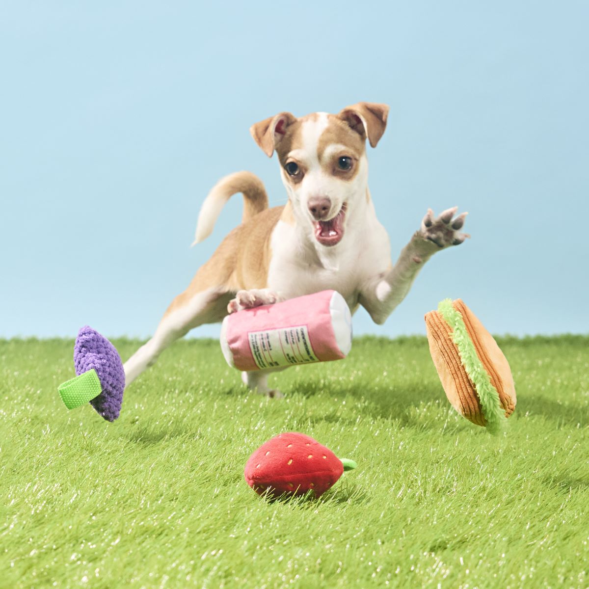 Licknic Dog Toy Pack - 4 Squeaky Plush Picnic Toys for Play & Fetch