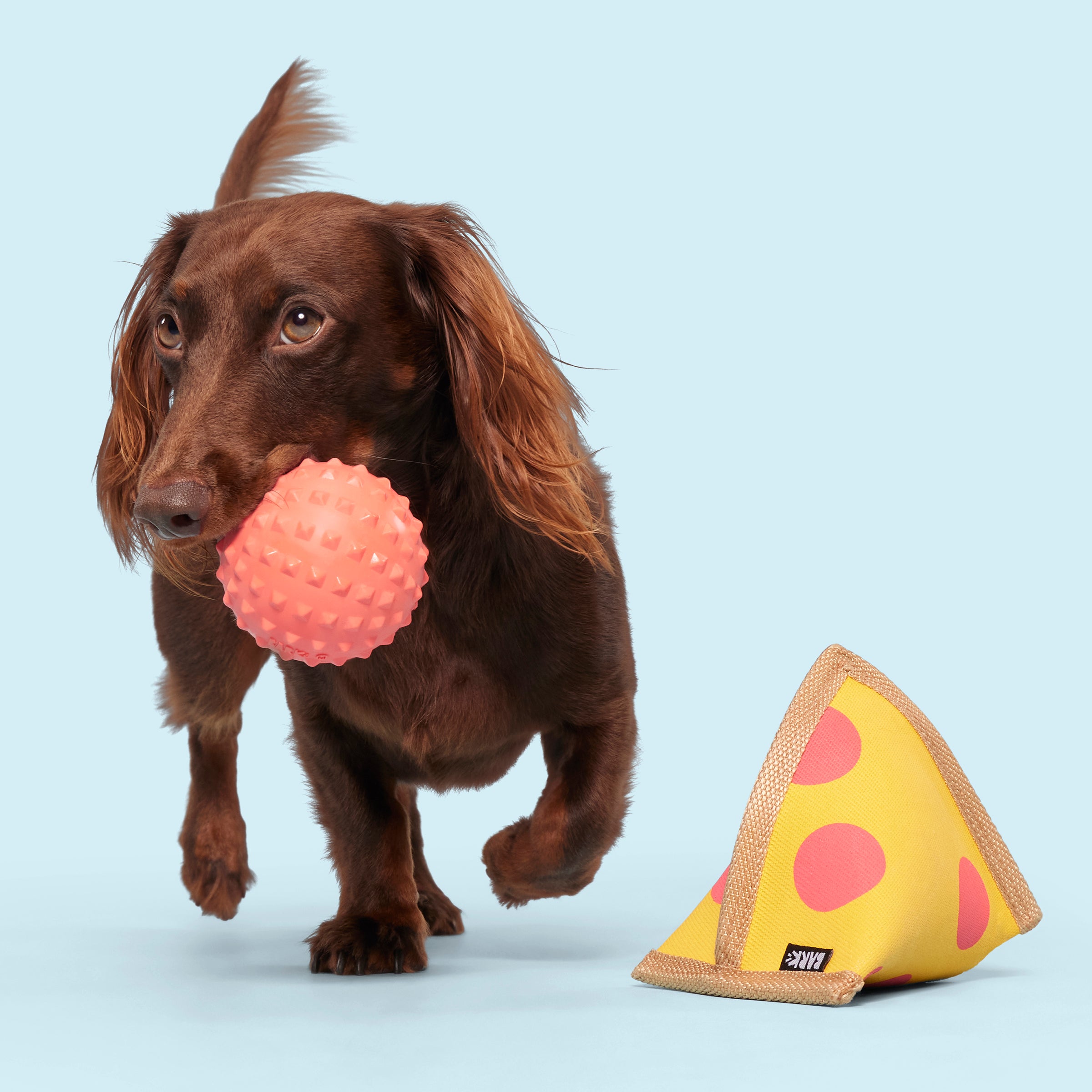 Lil Squeaker's Pizza Dog Toy with Spiky Ball Inside – Durable & Fun