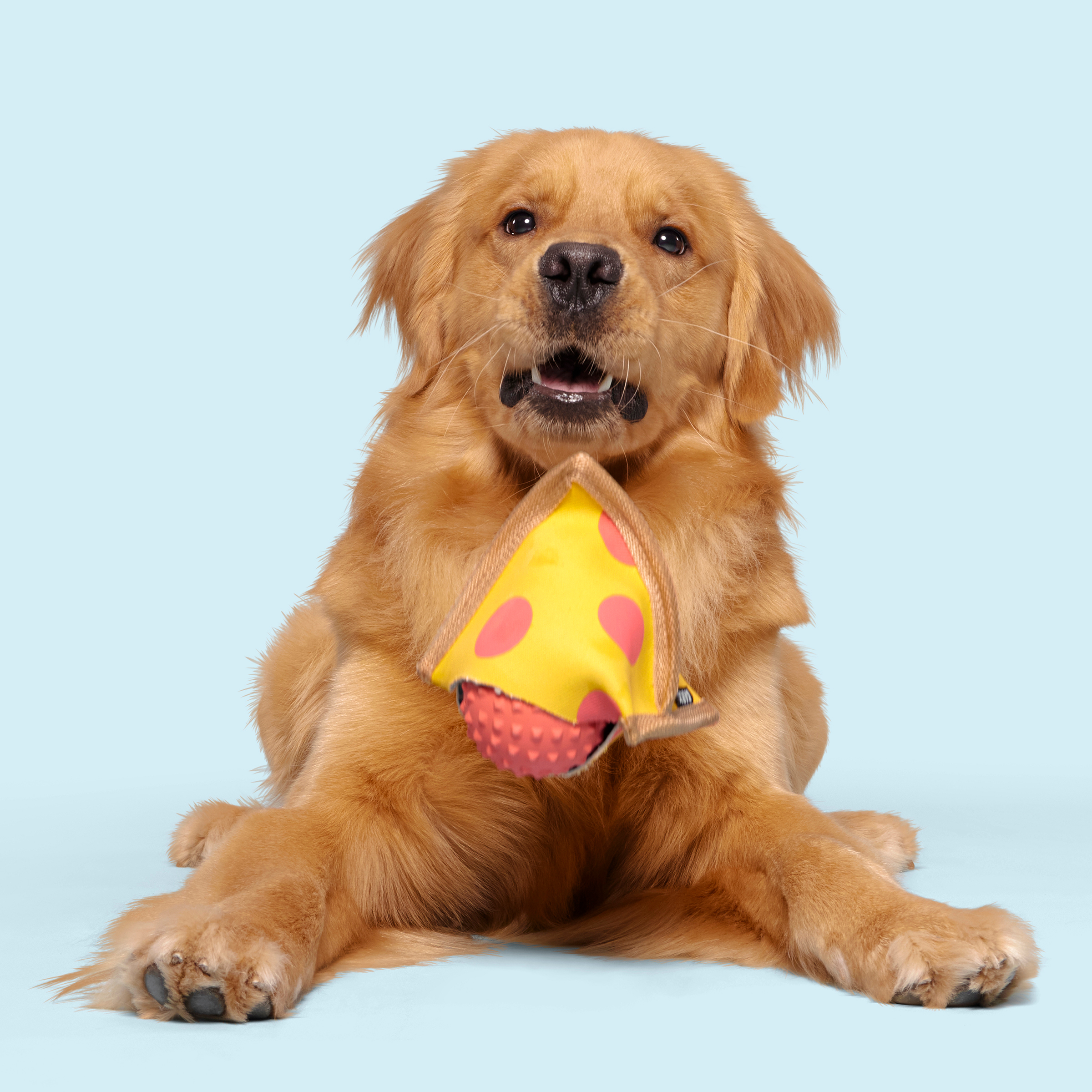 Lil Squeaker's Pizza Dog Toy with Spiky Ball Inside – Durable & Fun