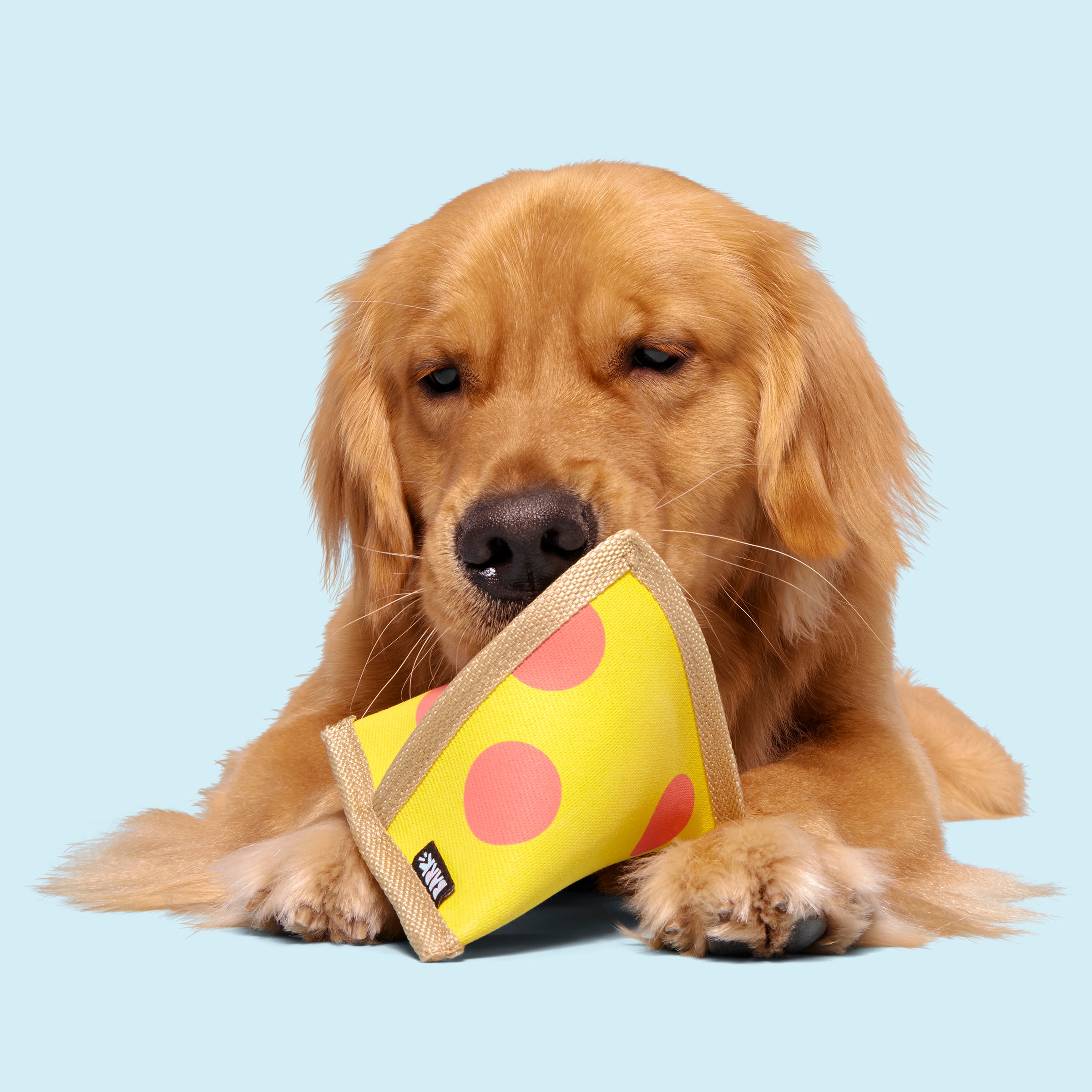 Lil Squeaker's Pizza Dog Toy with Spiky Ball Inside – Durable & Fun