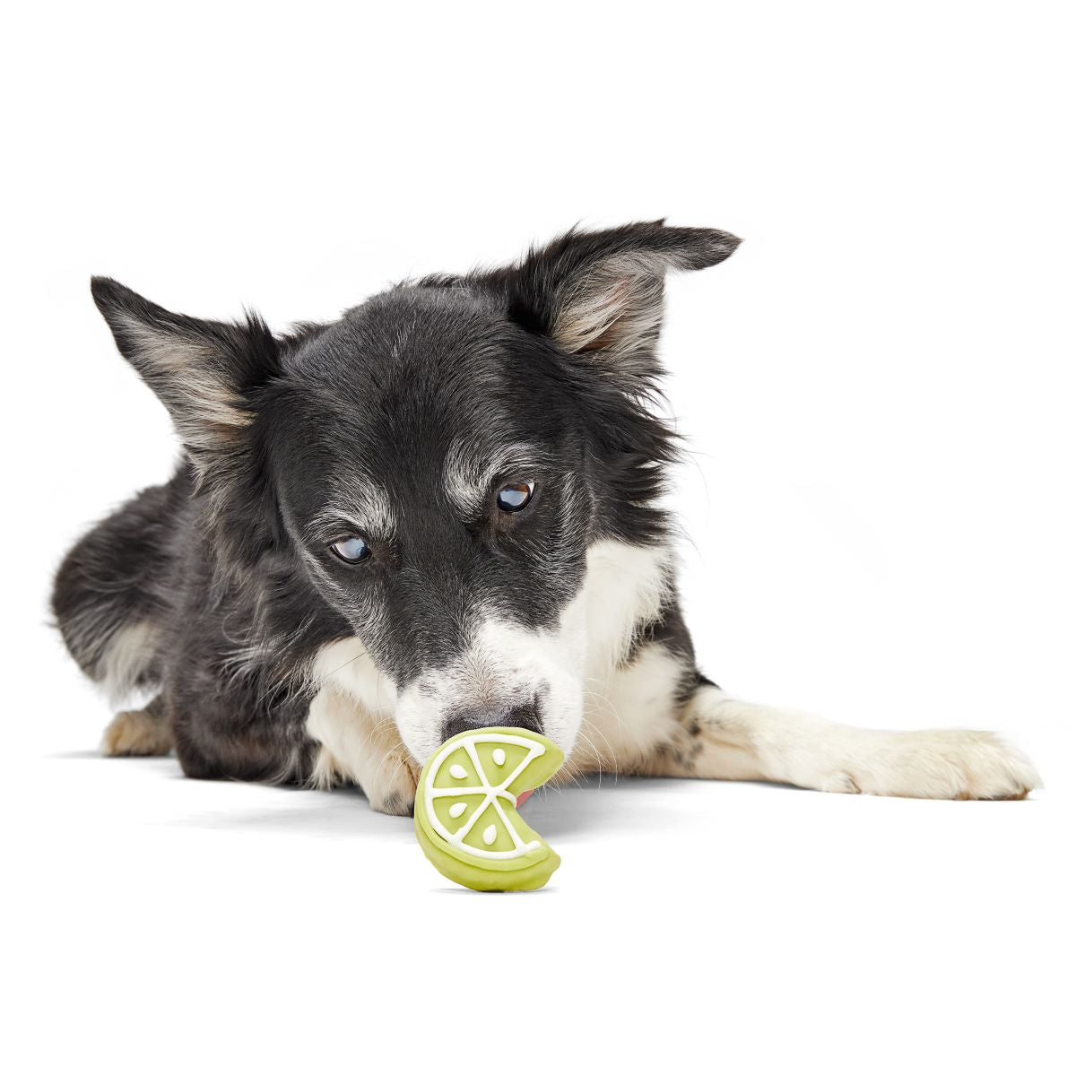 Lime Time Dog Cookie - Refreshing Pup Treat with Natural Ingredients