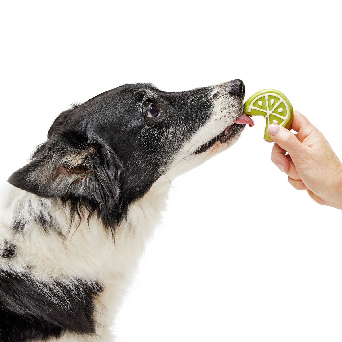 Lime Time Dog Cookie - Refreshing Pup Treat with Natural Ingredients