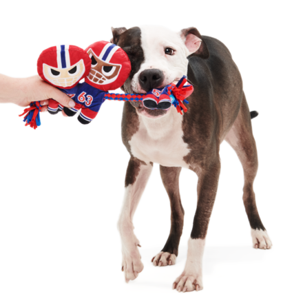 Dog Tug Toy with Squeakers & Crinkle - Linebarkers Football Rope