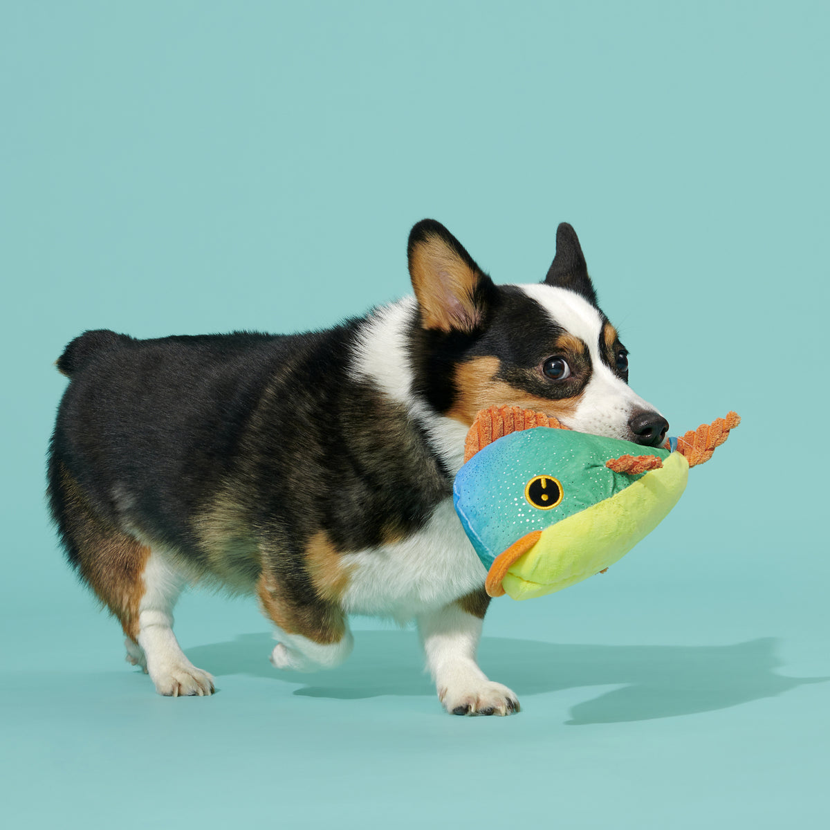 Maggie Mahi Squeaky Dog Toy with Whip-n-Flip Fins