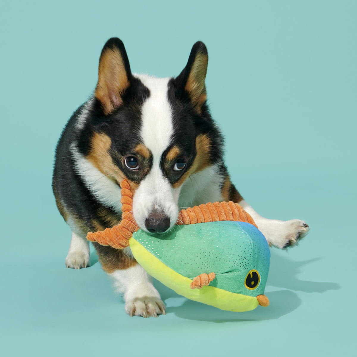 Maggie Mahi Squeaky Dog Toy with Whip-n-Flip Fins