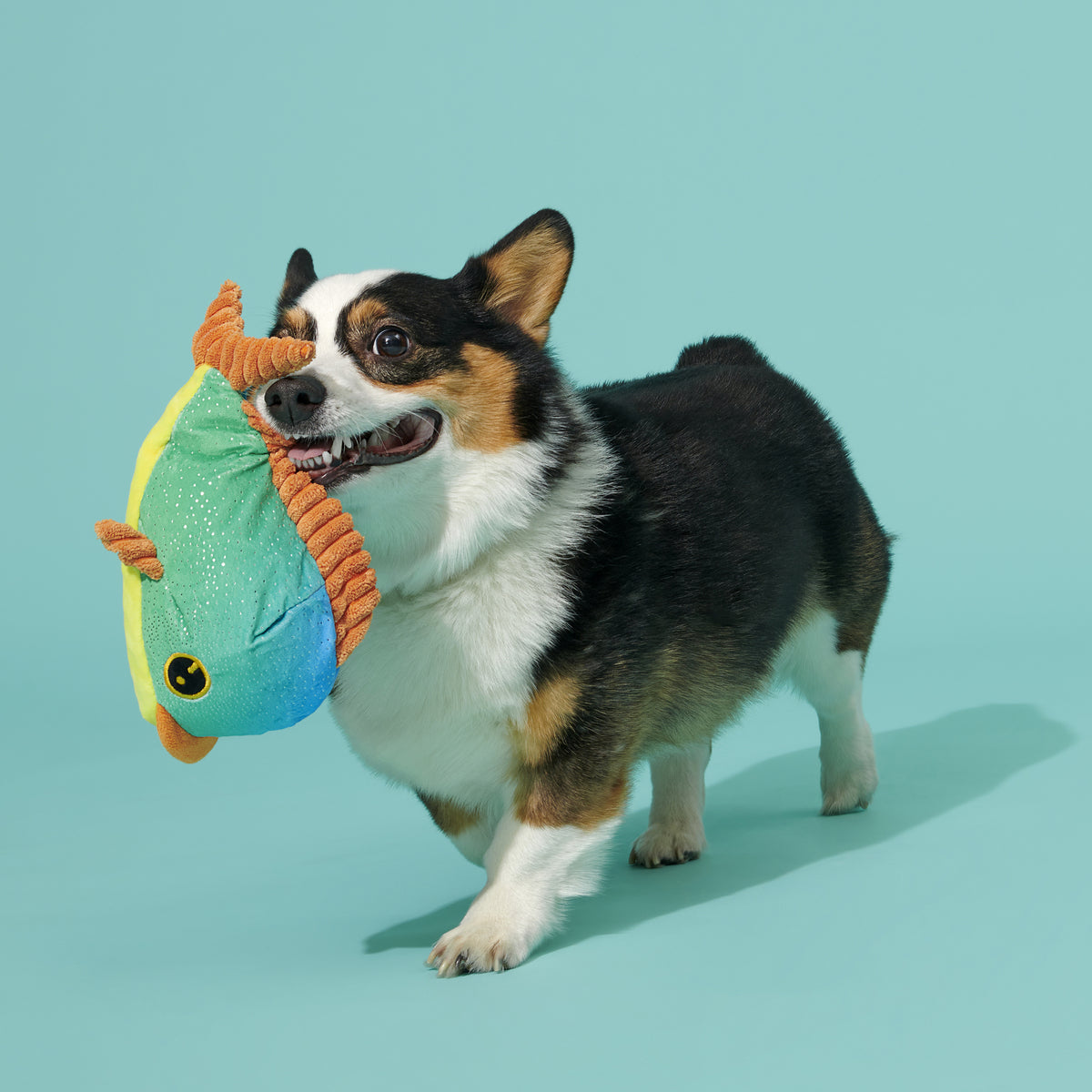 Maggie Mahi Squeaky Dog Toy with Whip-n-Flip Fins