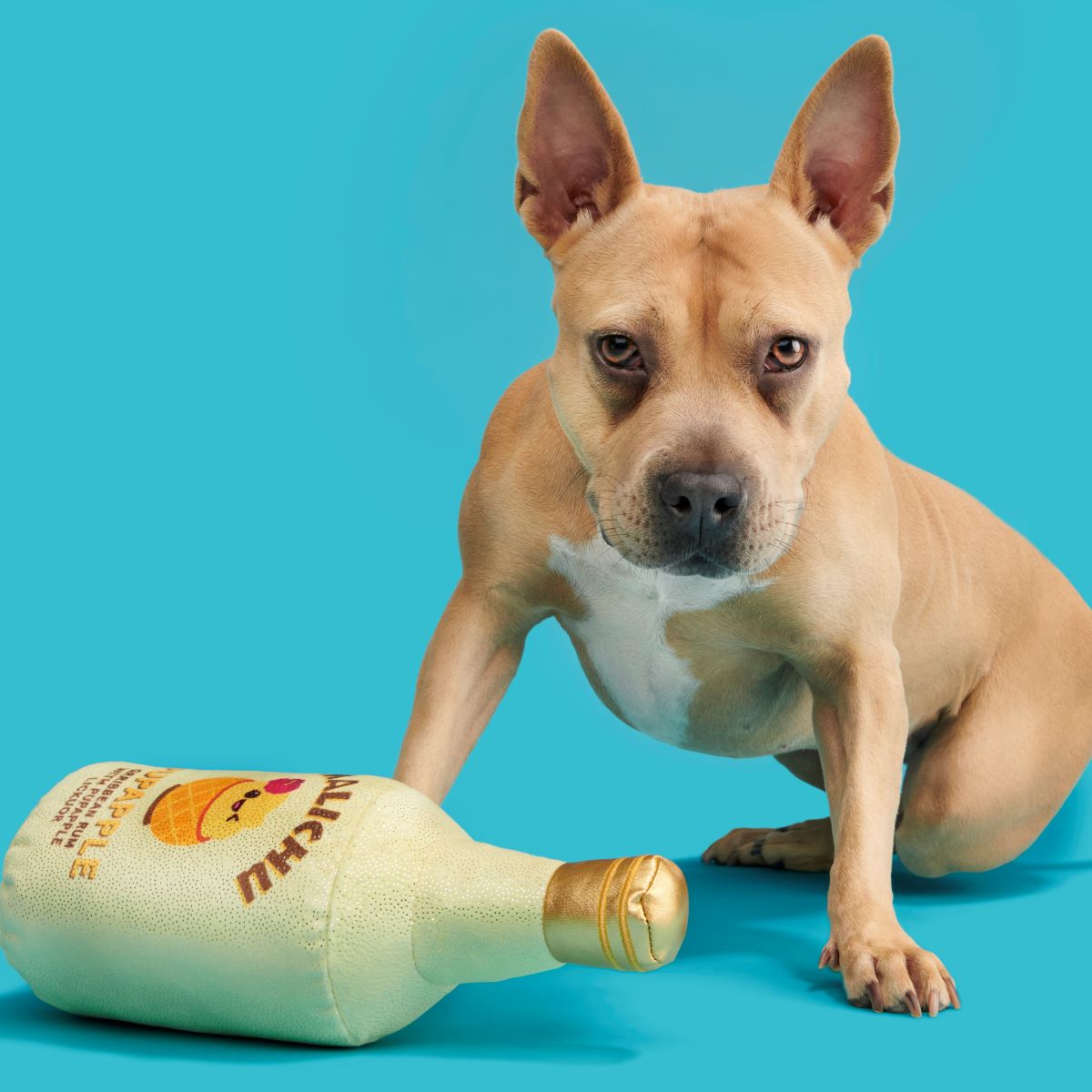 Malichu Rum Dog Toy with Squeaker & Crinkle for Playtime