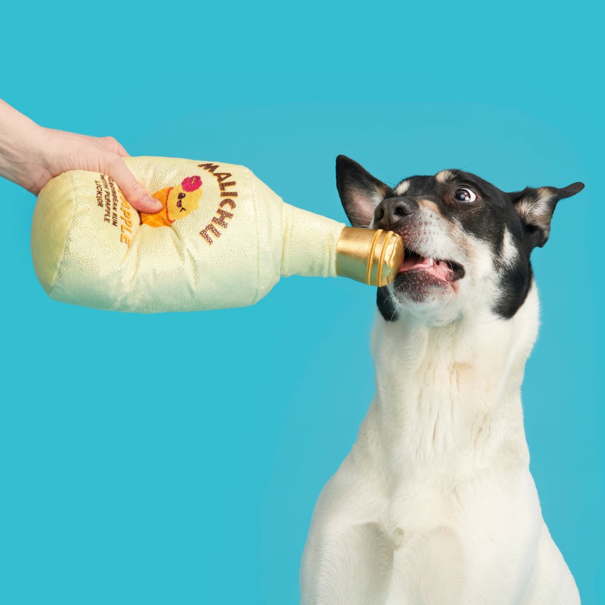 Malichu Rum Dog Toy with Squeaker & Crinkle for Playtime