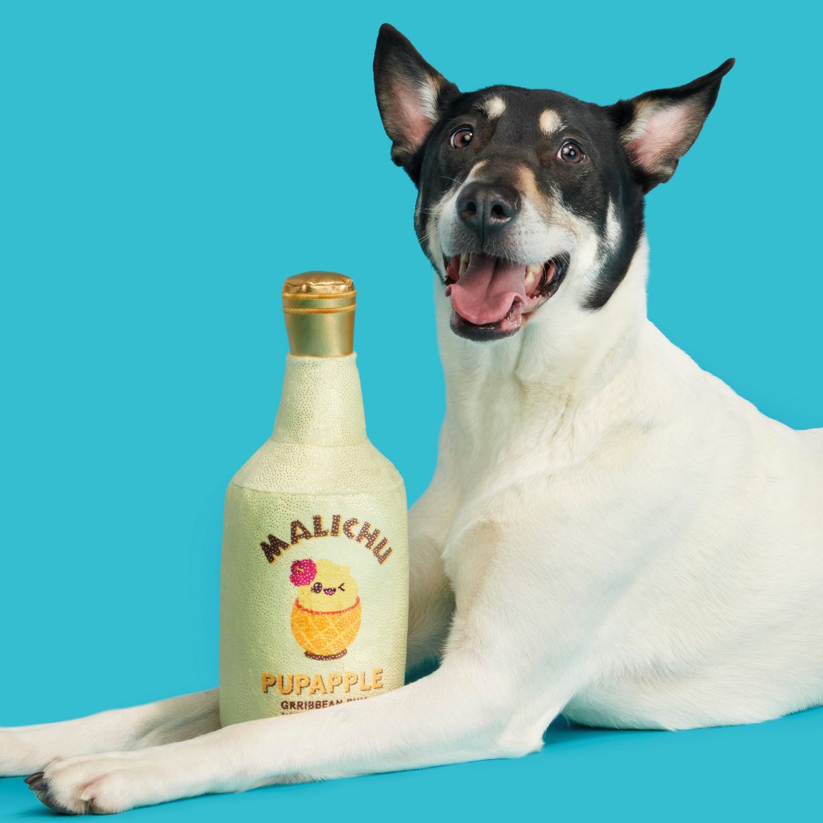 Malichu Rum Dog Toy with Squeaker & Crinkle for Playtime