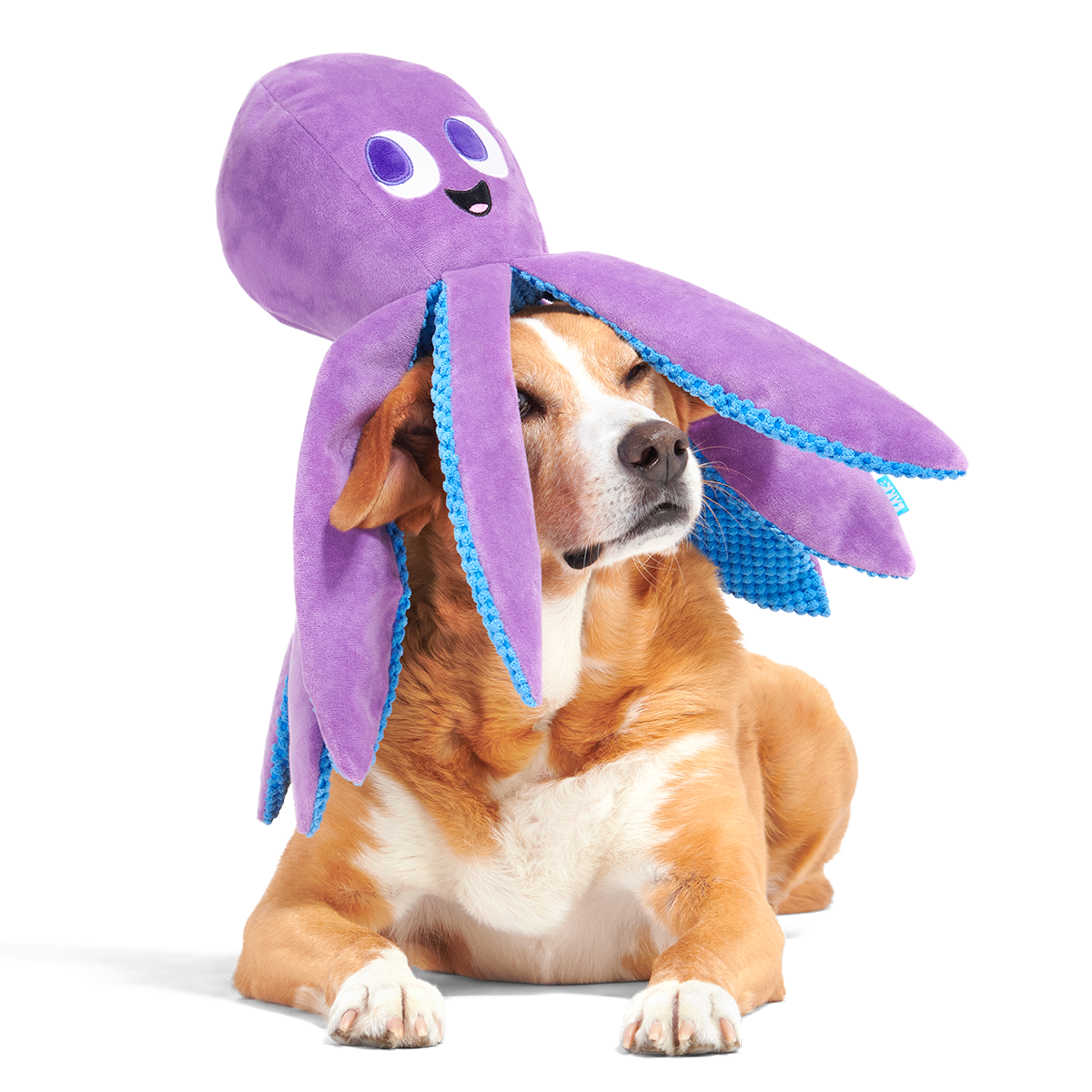 Mondo Ollie the Octopus Dog Toy with Squeaker & Crinkle