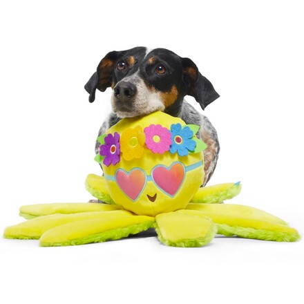 Ollie Need Is Love Dog Toy with Squeaker & Whip-N-Flip Limbs
