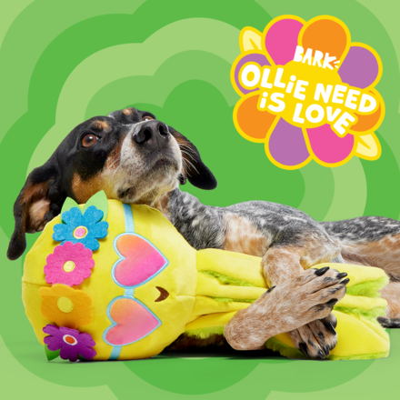 Ollie Need Is Love Dog Toy with Squeaker & Whip-N-Flip Limbs
