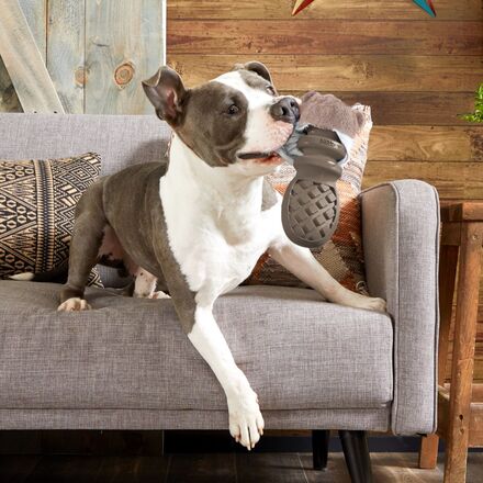 P.B. Beaver Dog Toy with Peanut Butter Tail for Chewers