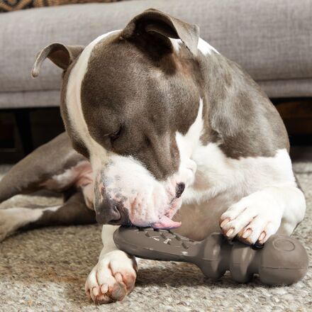 P.B. Beaver Dog Toy with Peanut Butter Tail for Chewers