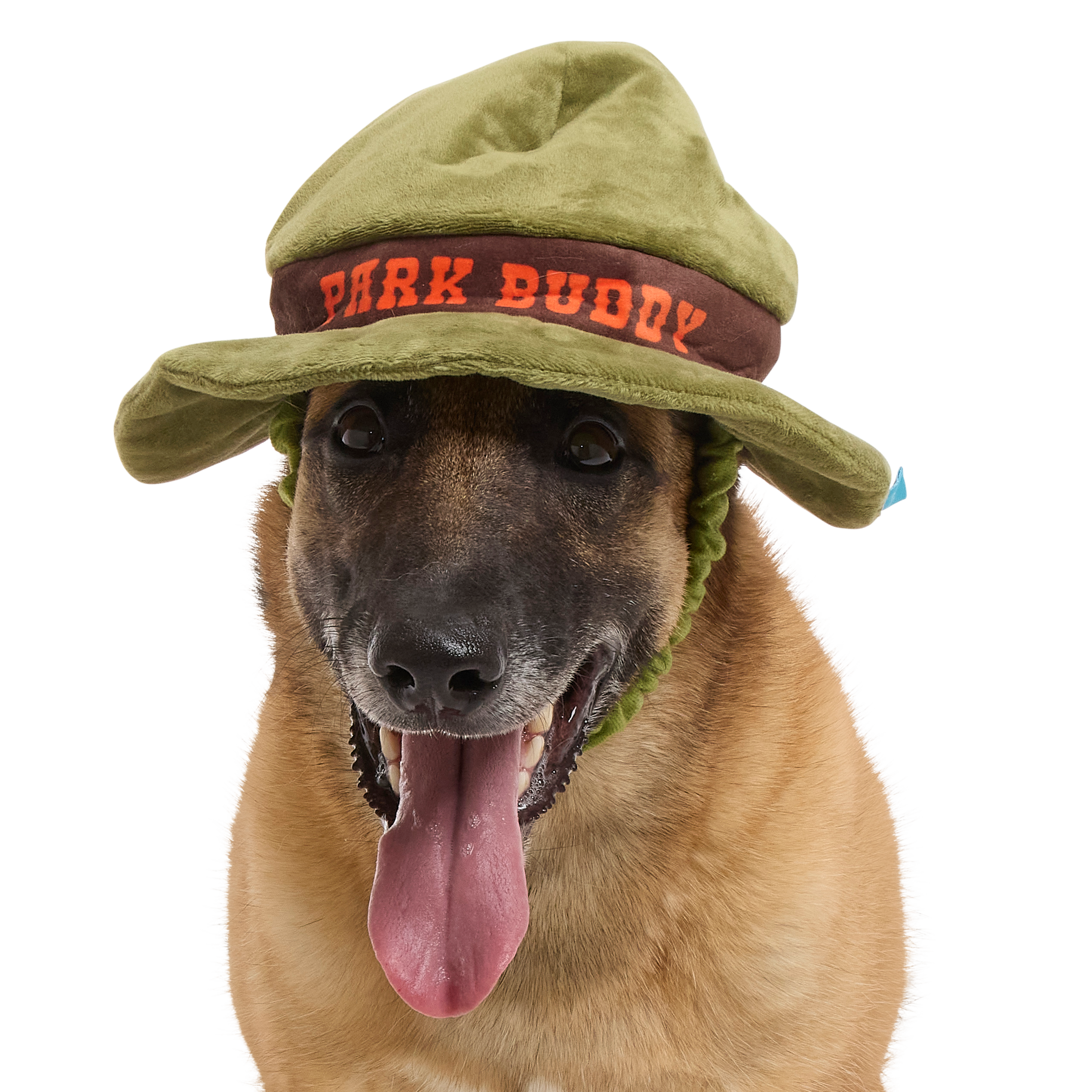BARK Park Buddy Dog Hat with Squeaker & Crinkle Toy