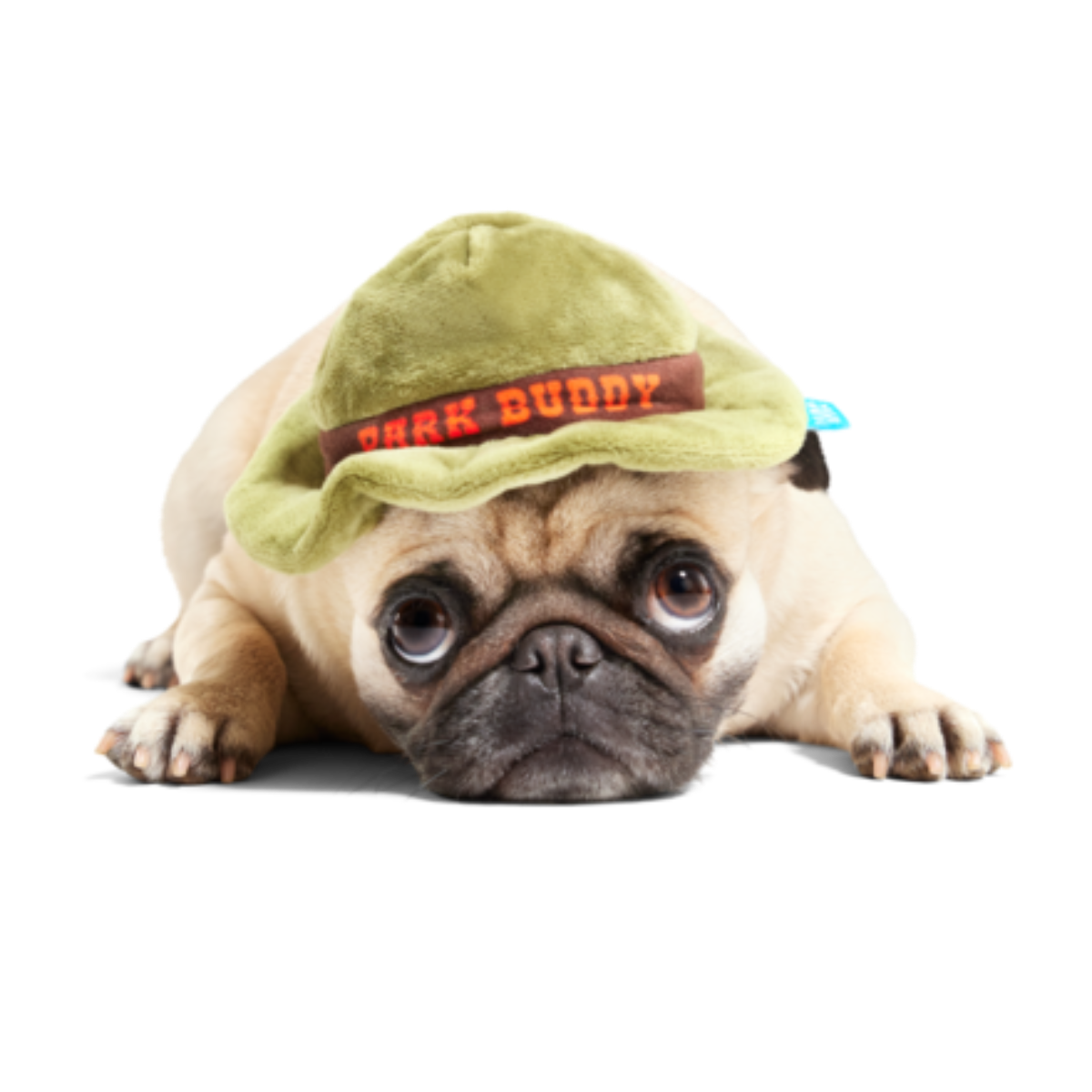 BARK Park Buddy Dog Hat with Squeaker & Crinkle Toy