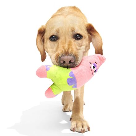 Patrick's Squeaky Dog Toy - Crinkle & Rip Reveal for Playful Pups