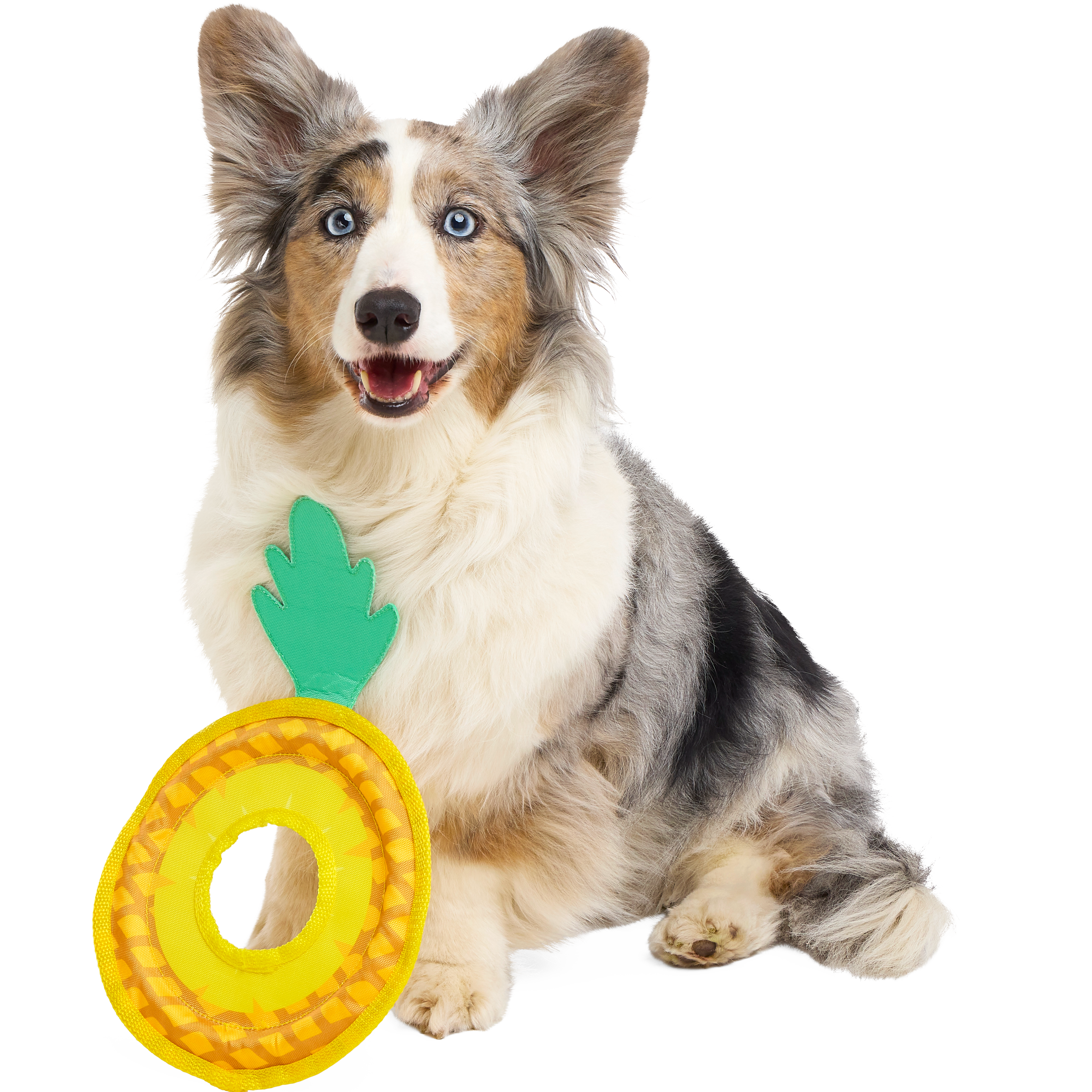 Pineapple Dog Toy Flying Disc with T-Shirt Rope for Fetch