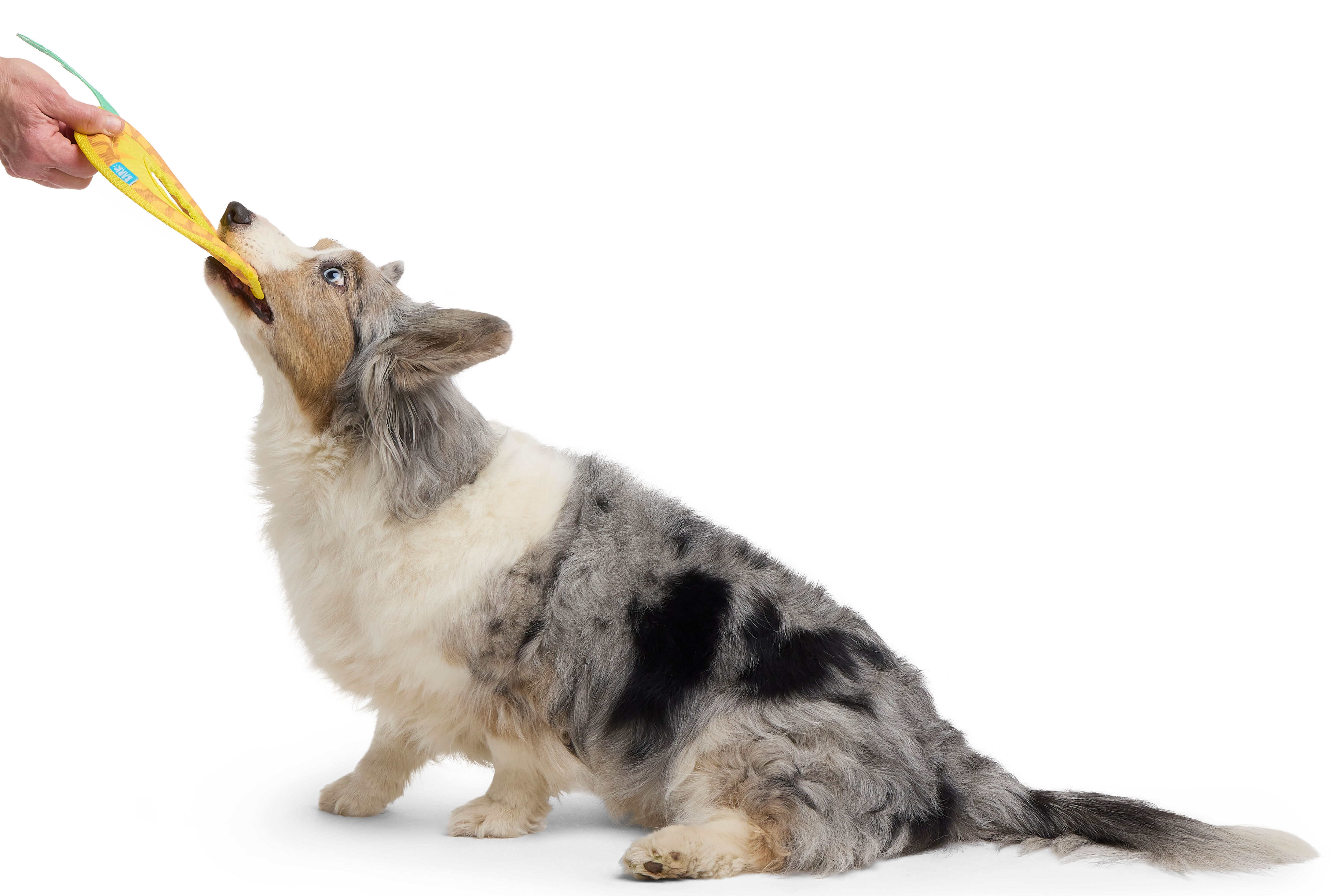 Pineapple Dog Toy Flying Disc with T-Shirt Rope for Fetch