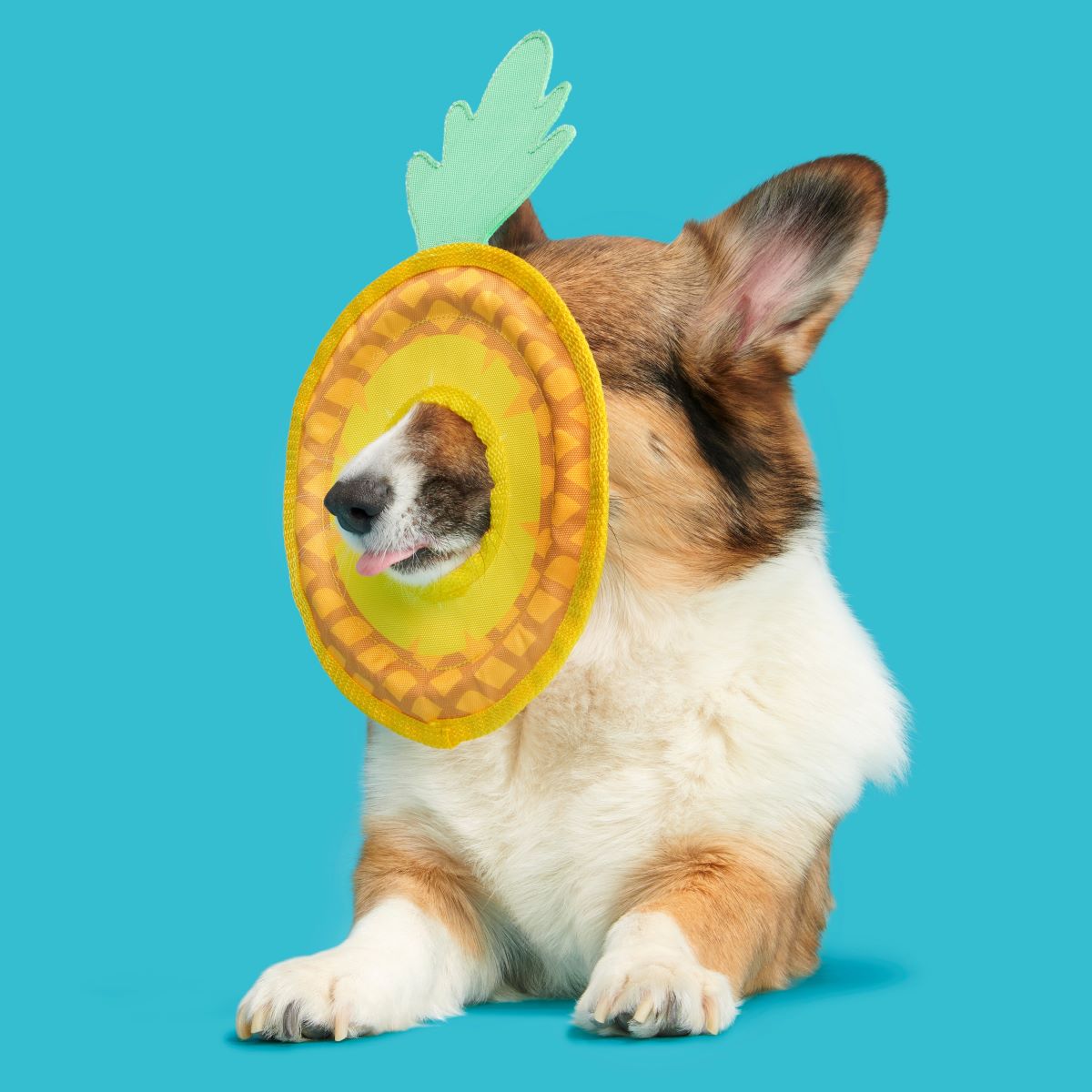Pineapple Dog Toy Flying Disc with T-Shirt Rope for Fetch