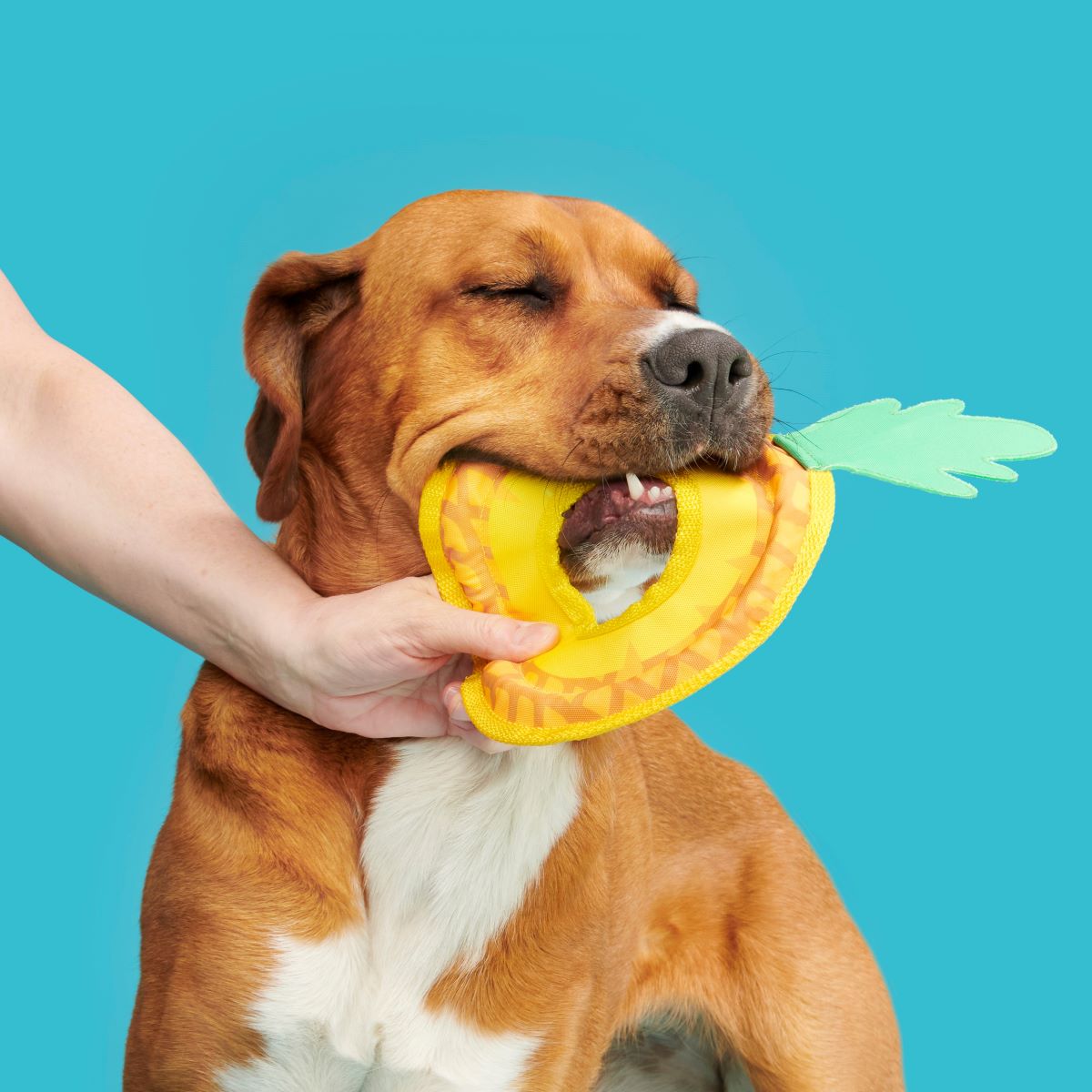 Pineapple Dog Toy Flying Disc with T-Shirt Rope for Fetch