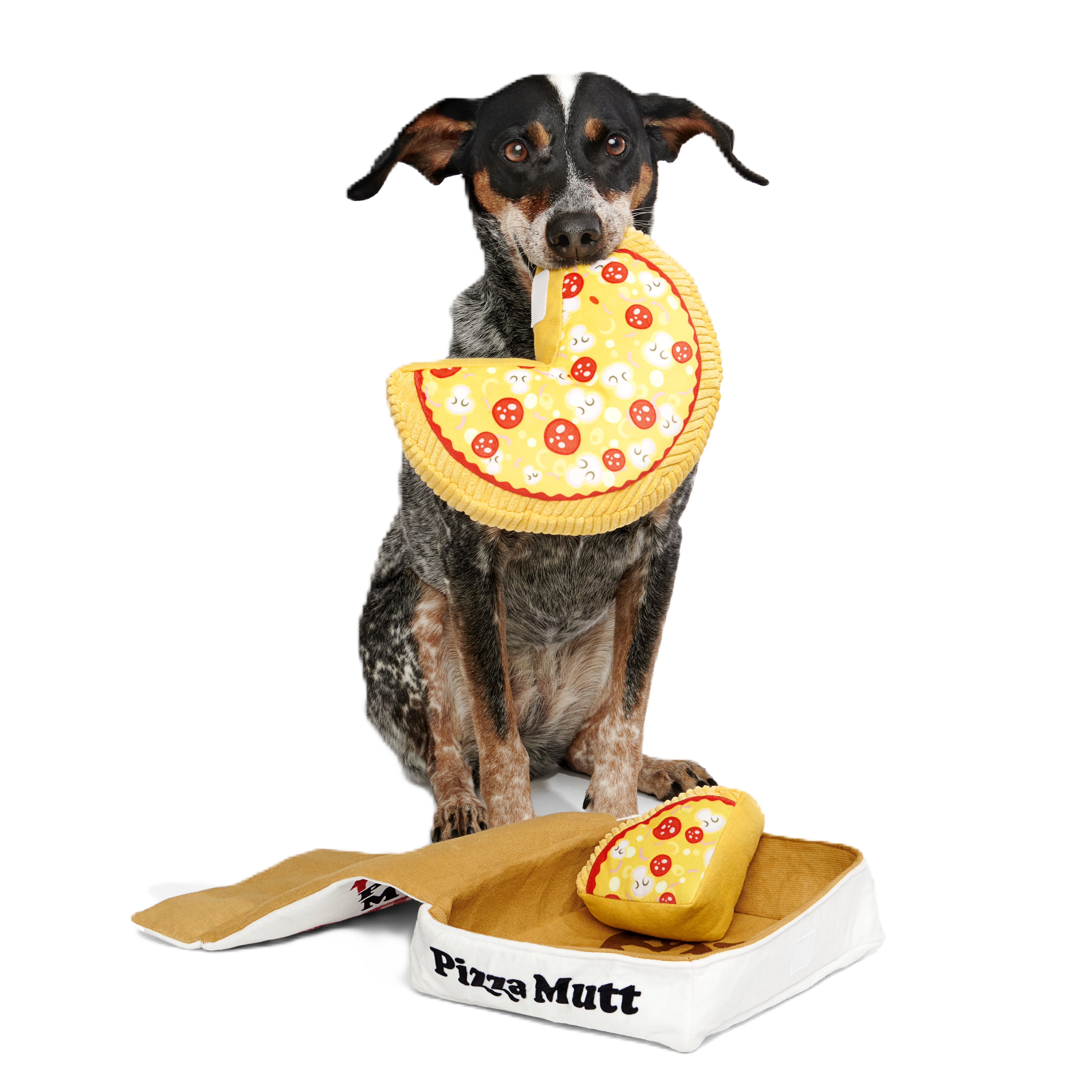 Squeaky Pizza Dog Toy with Crinkle Box & Treat Hider