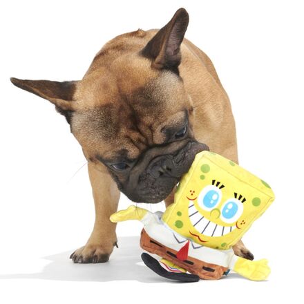 SpongeBob Dog Toys Bundle - Plush Squeaky Pet Toys for Dogs