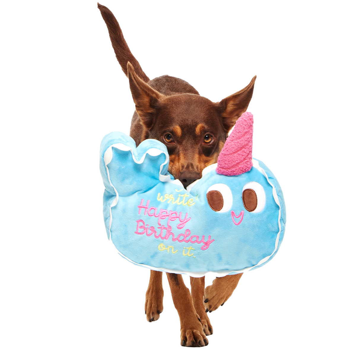 Pudgy the Narwhal Dog Cake Toy with Squeakers & Crinkle