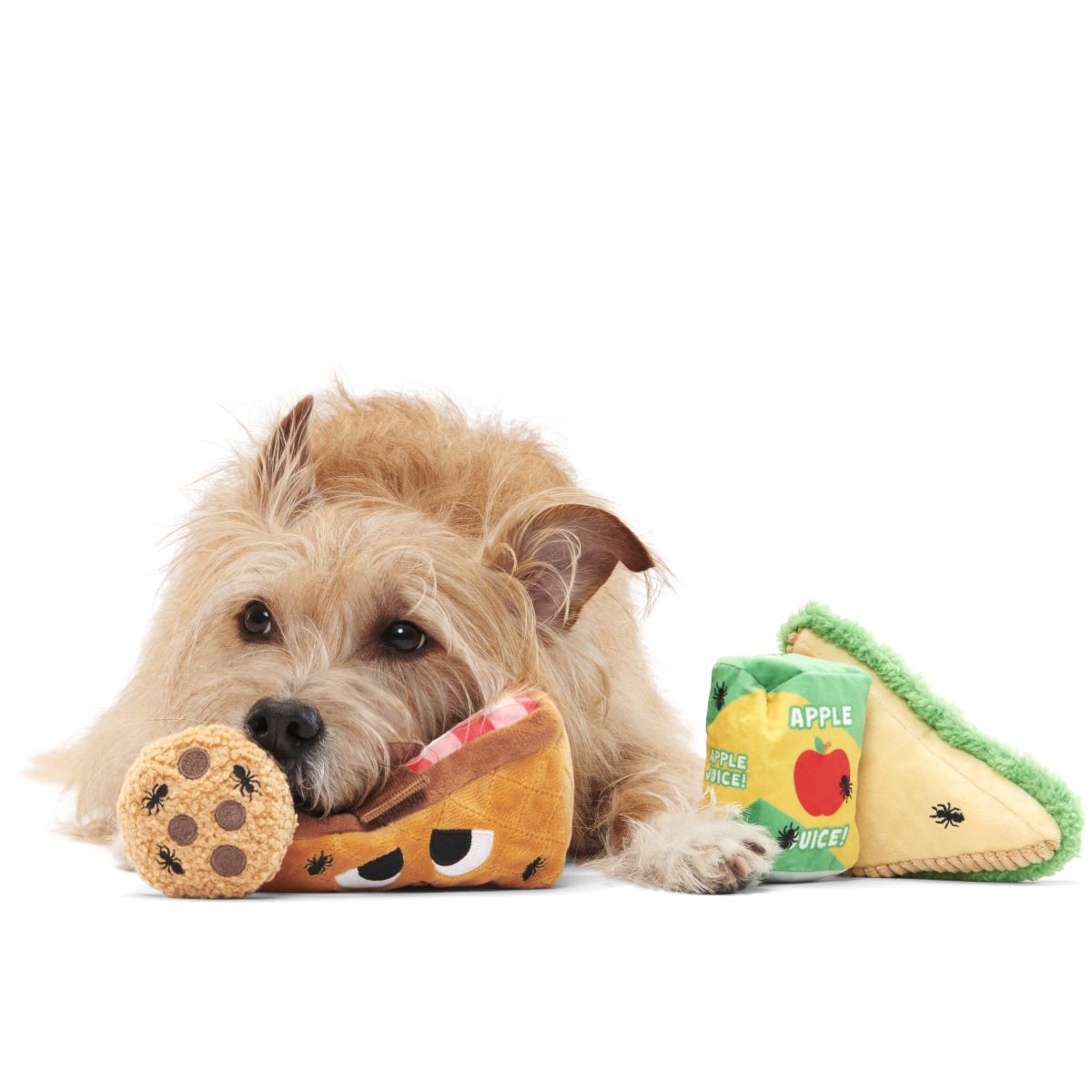 Squeaky Dog Picnic Toy with Treat Basket & Crinkle Sounds