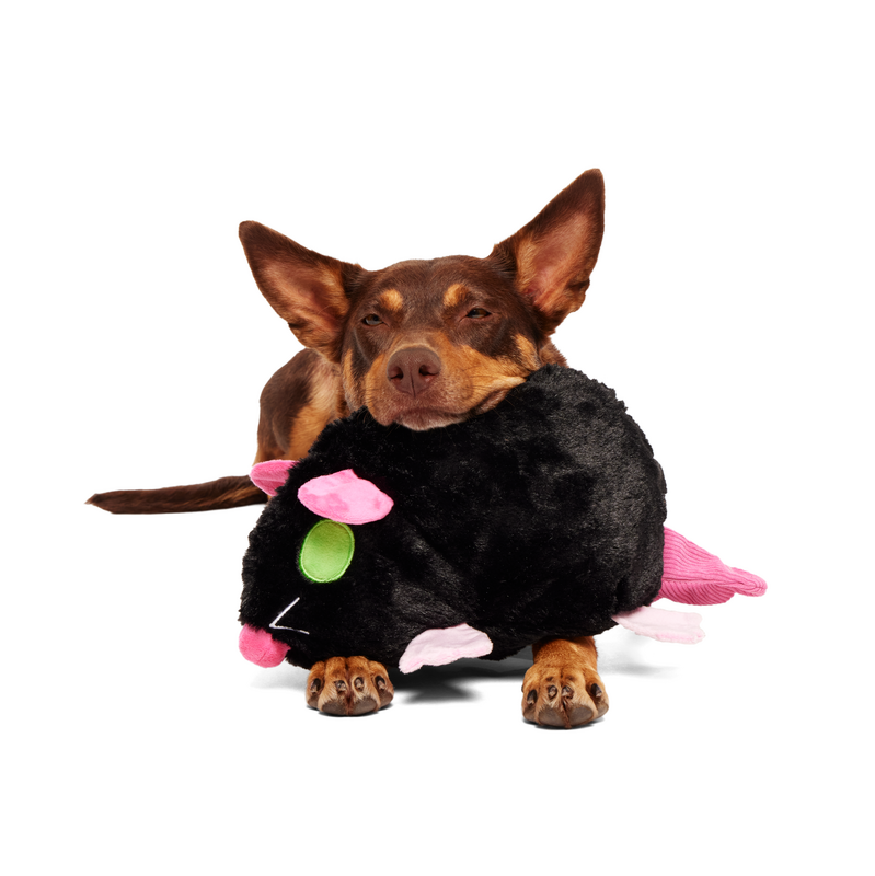 Rat-A-Chewy Dog Toy with Squeaker & Crinkle for Shredders