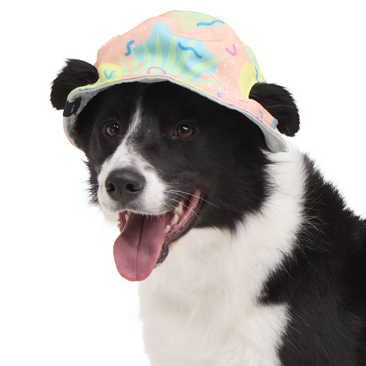 Reversible Dog Bucket Hat - 100% Cotton with Ear Holes