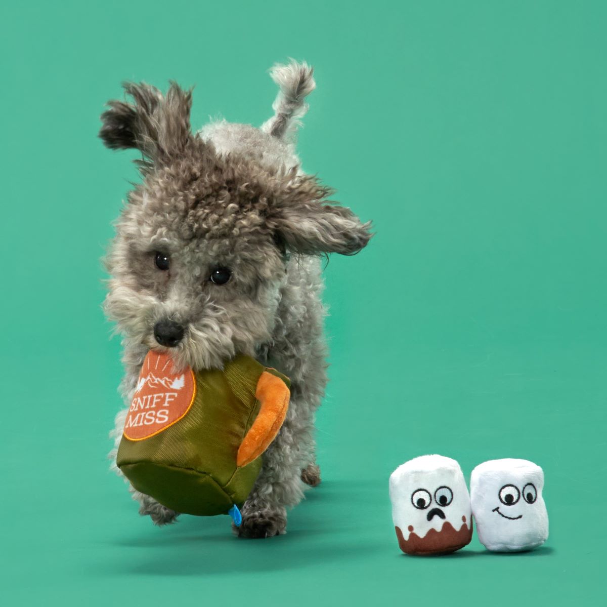 Squeaky Dog Toy Mug with Crinkle & Treat Hiding Feature
