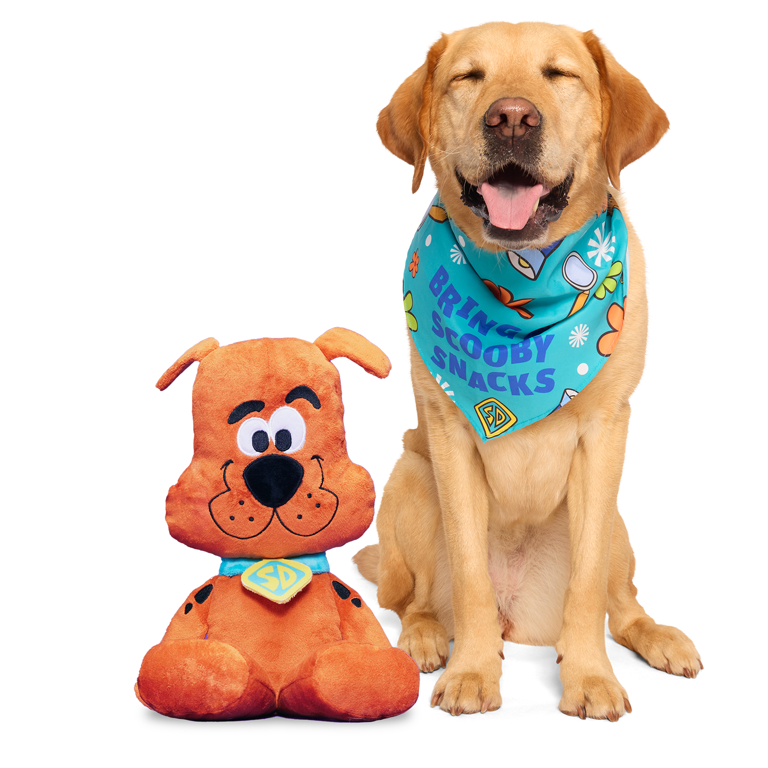 Scooby-Doo™ Plush Dog Toy & Bandana Bundle with Squeakers