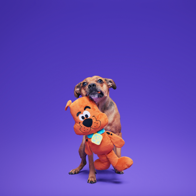 Scooby-Doo™ Plush Dog Toy & Bandana Bundle with Squeakers