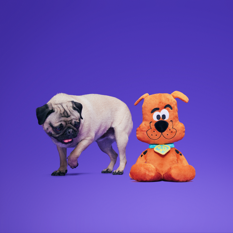 Scooby-Doo™ Plush Dog Toy & Bandana Bundle with Squeakers