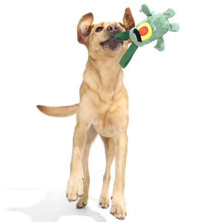 SpongeBob Plankton Dog Toy with Squeaker & Crinkle
