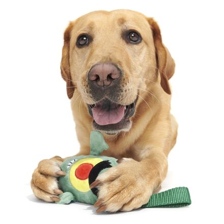 SpongeBob Plankton Dog Toy with Squeaker & Crinkle