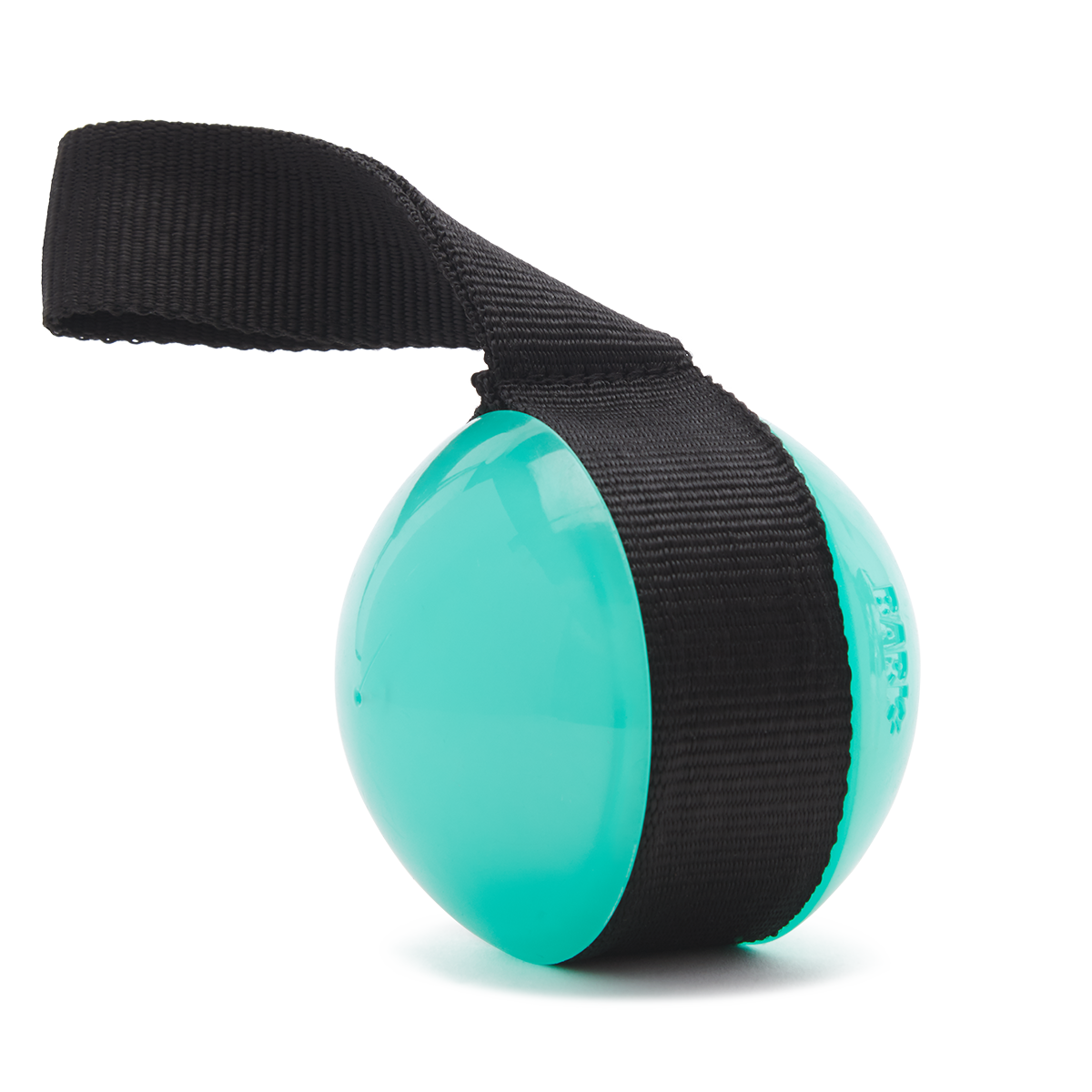 Glow-in-the-Dark Dog Toy with Squeaker & Nylon Strap