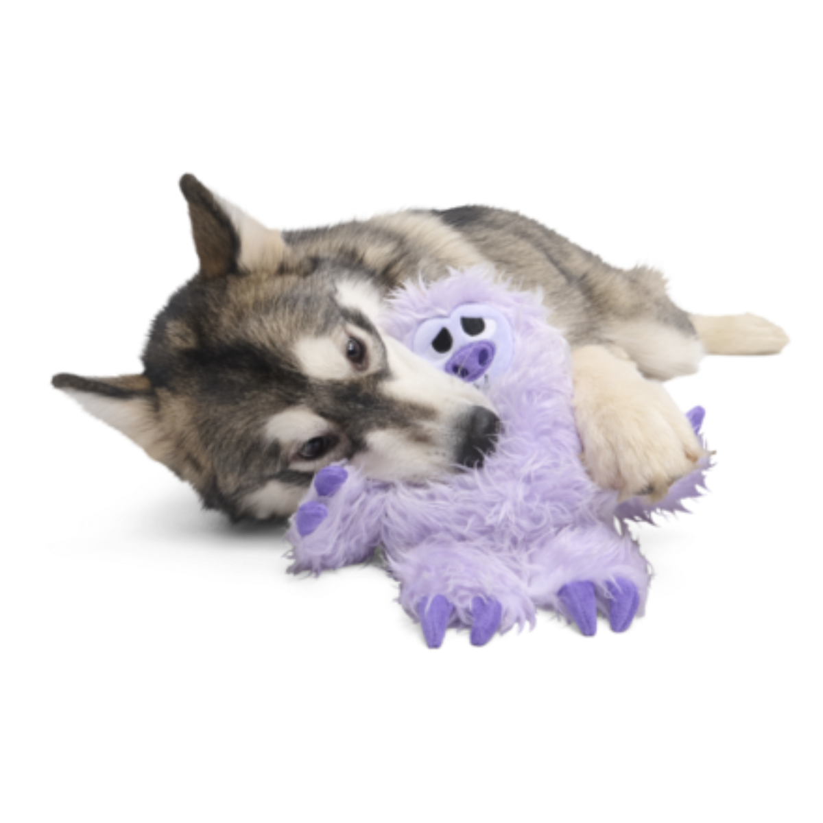 Slennifer Sloth Dog Toy with Squeaker & Crinkle for Play