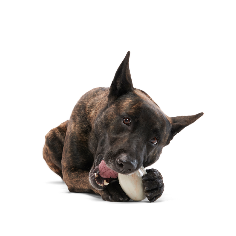 Wacky Wobble Treat Dispensing Dog Toy – Natural Rubber & Dishwasher Safe