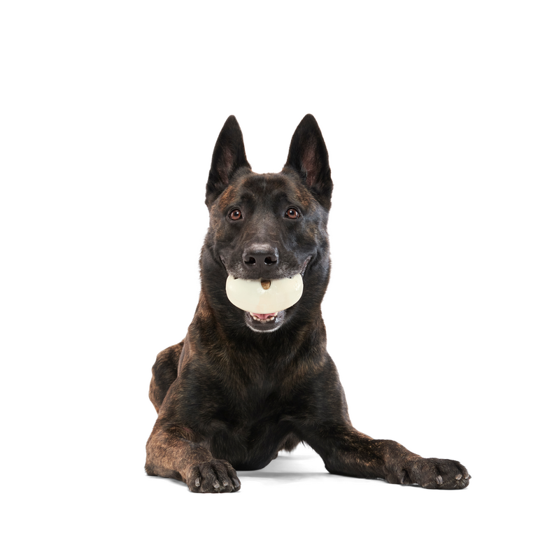 Wacky Wobble Treat Dispensing Dog Toy – Natural Rubber & Dishwasher Safe
