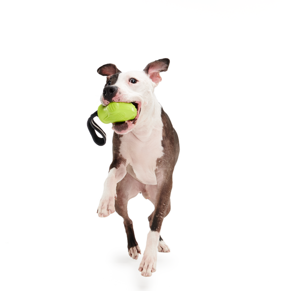 Mint-Scented Natural Rubber Dog Snout Guard for Tug & Fetch Play