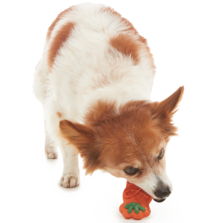 Healthy Dog Treats - Somebunny’s Cookie with Whole Wheat & Applesauce