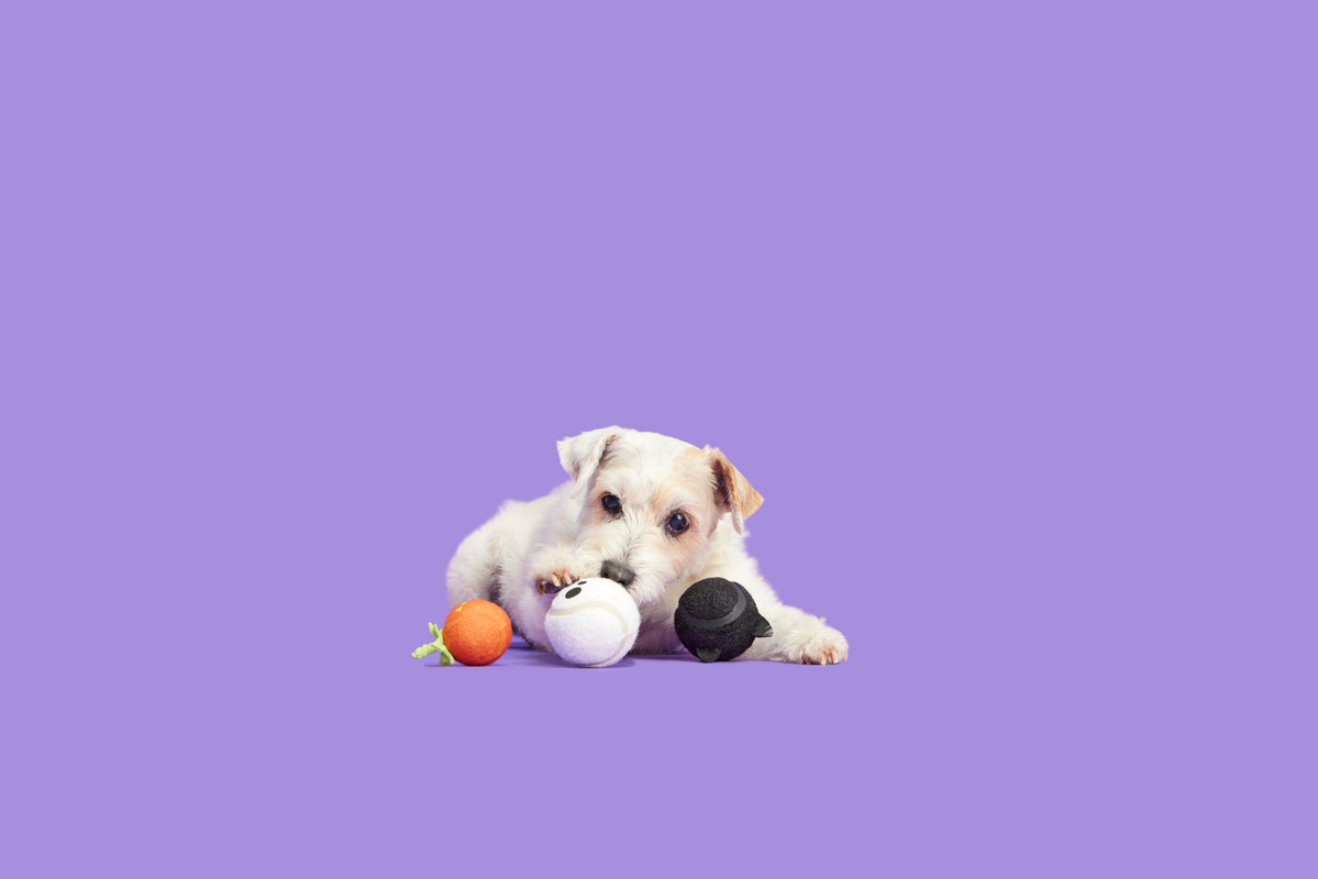 Squeaky Tennis Balls for Dogs – Squad Ghouls Set of 3