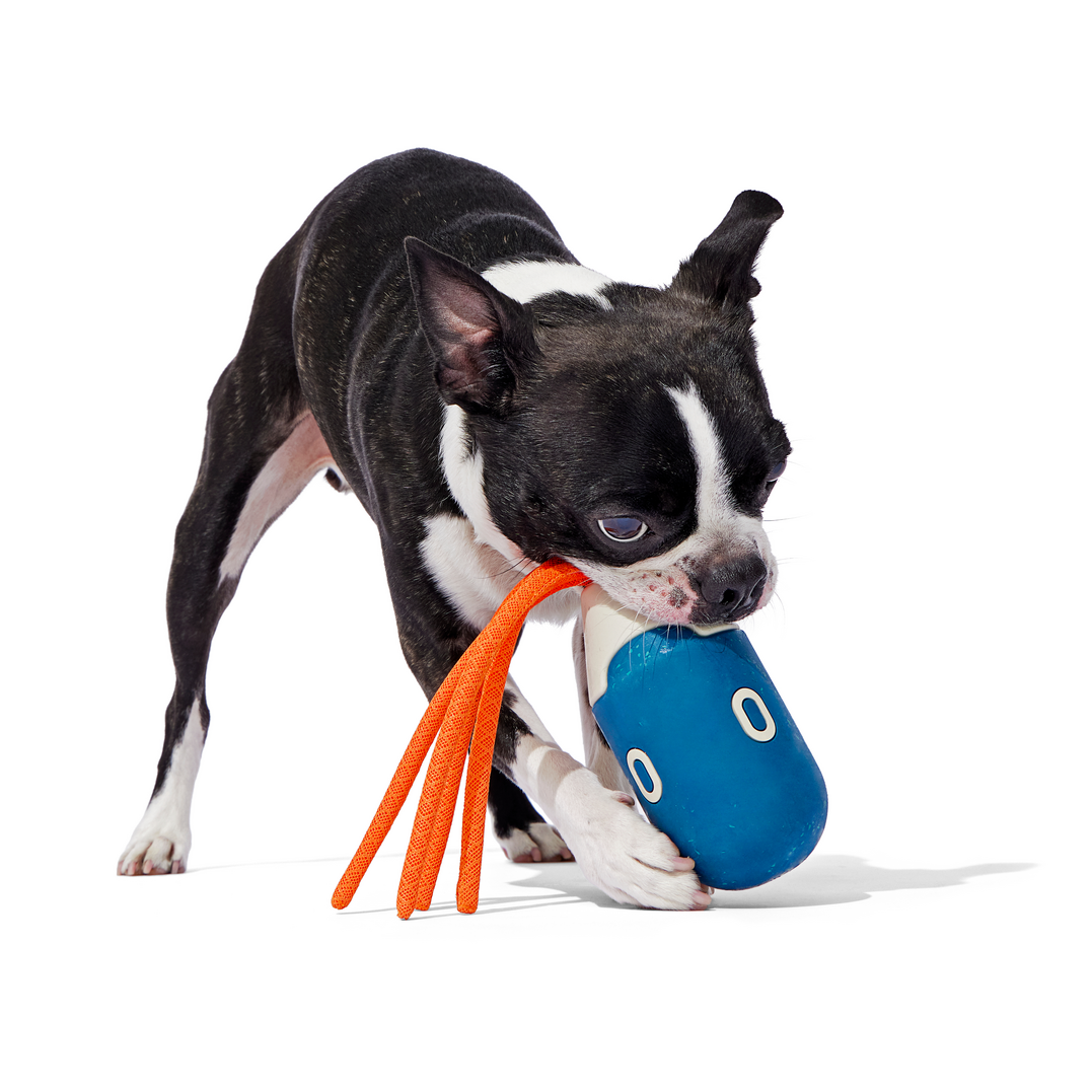 Squidwhip Floating Dog Toy for Fetch & Tug - Natural Rubber & Mesh