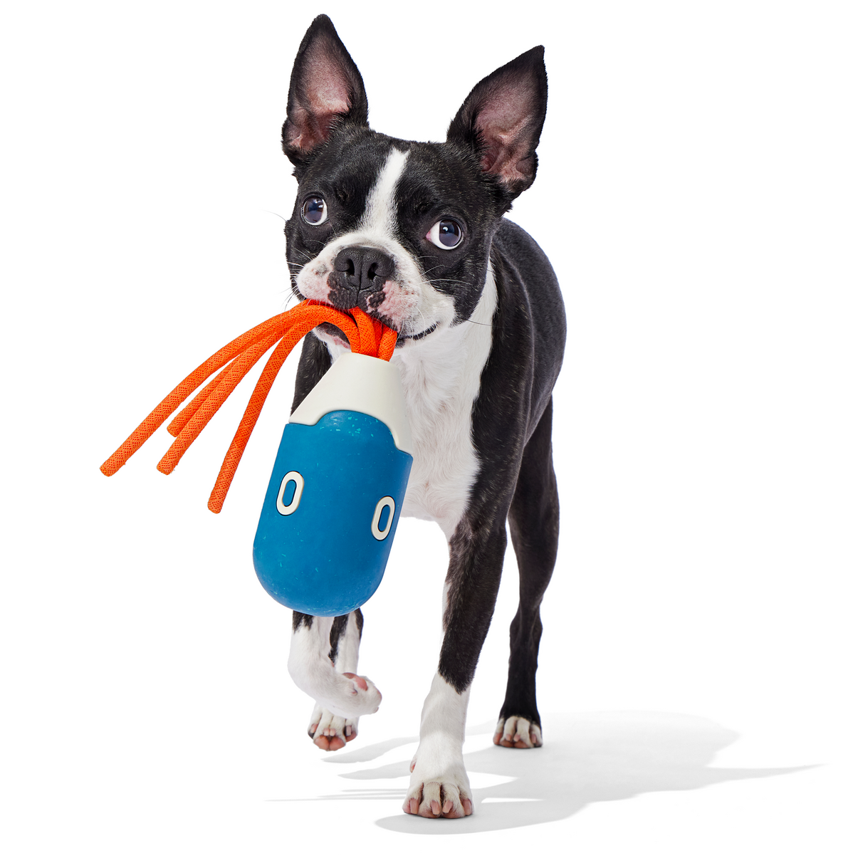 Squidwhip Floating Dog Toy for Fetch & Tug - Natural Rubber & Mesh