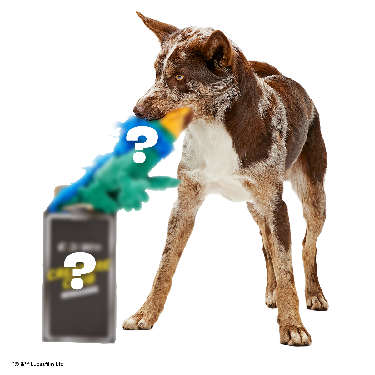 Star Wars™ Dog Toy Subscription Box – Creature Club